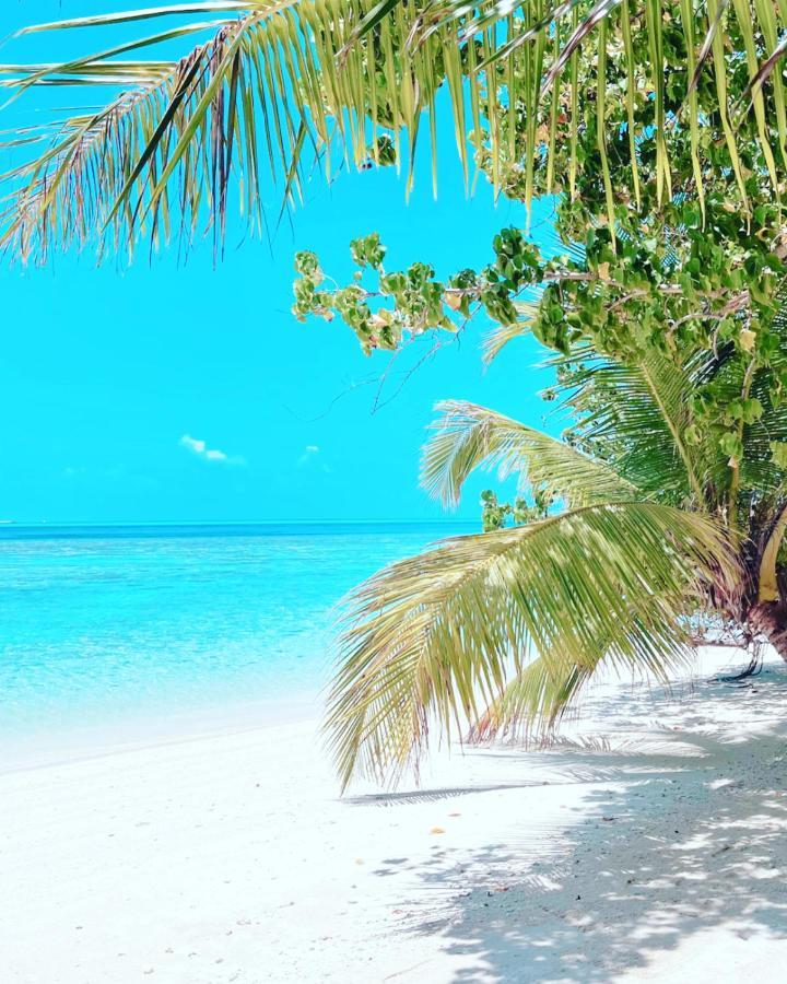 Rising Sun Beach View Thinadhoo  Exterior photo